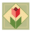 dhgroup.com Icon
